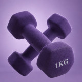 Гантель неразборная гексагональная неопрен 1 кг (2 штуки) VictoryFit VF-DHN010-2