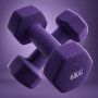 Гантель неразборная гексагональная неопрен 6 кг (2 штуки) VictoryFit VF-DHN060-2