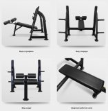 BRONZE GYM BR-1013 Скамья для жима с отрицательным наклоном