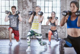 Гантели обрезиненные Reebok, 6 - 20 кг (пара) 